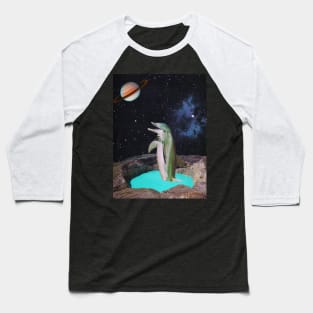 Planet Dolphin Baseball T-Shirt